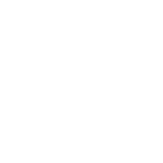 lightbulb white icon